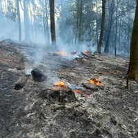 2026-08-15_Einsatz_2026-063_B_Wald_0014.jpg