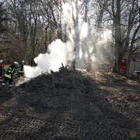 20190224-einsatz_brand-0006.jpg