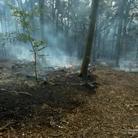 2026-08-15_Einsatz_2026-063_B_Wald_0018.jpg