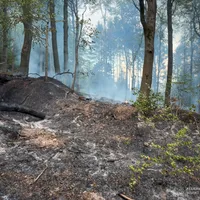 2026-08-15_Einsatz_2026-063_B_Wald_0009.jpg