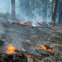 2026-08-15_Einsatz_2026-063_B_Wald_0015.jpg