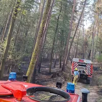 2026-08-16_Einsatz_2026-063_B_Wald_0026.jpg