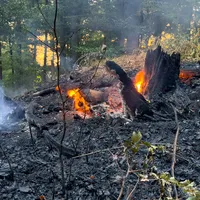 2026-08-15_Einsatz_2026-063_B_Wald_0007.jpg