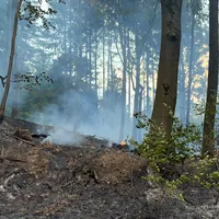 2026-08-15_Einsatz_2026-063_B_Wald_0008.jpg
