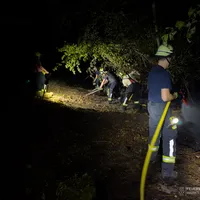 2026-08-15_Einsatz_2026-063_B_Wald_0022.jpg