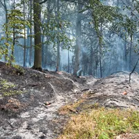 2026-08-15_Einsatz_2026-063_B_Wald_0010.jpg