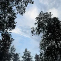2026-08-15_Einsatz_2026-063_B_Wald_0013.jpg